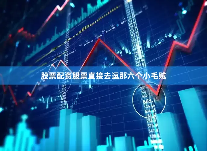 股票配资股票直接去逗那六个小毛贼
