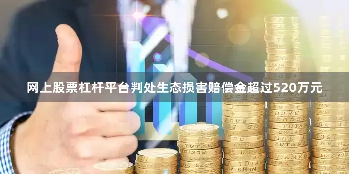 网上股票杠杆平台判处生态损害赔偿金超过520万元